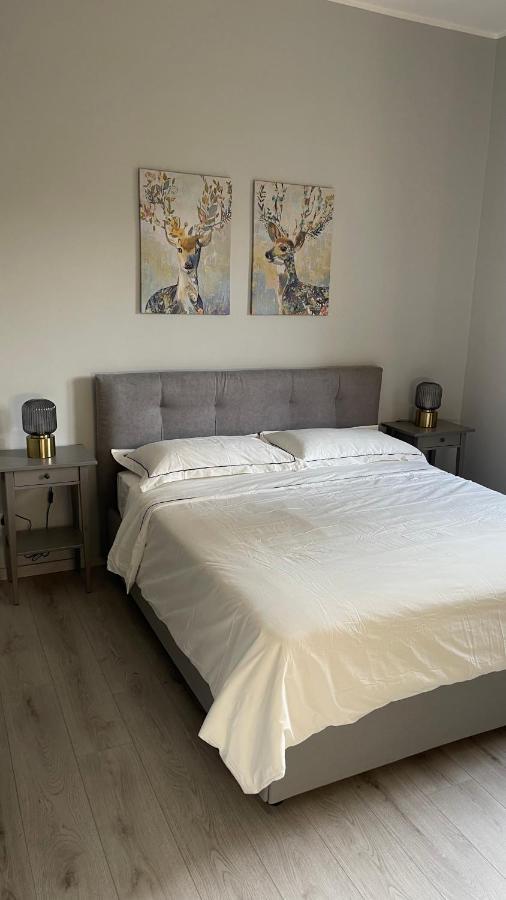 Stilish Apartment Few Steps From The Underground ミラノ エクステリア 写真